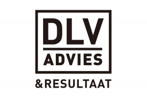DLV advies