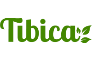 Tibica