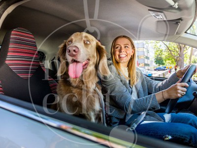 Beeldbankshoot deelvervoer vanaf een hub