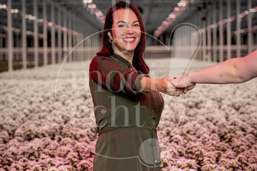 Foto- en videoshoot voor een glastuinbouwsector 3